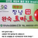 토경재배 반짭짤이완숙토마토 주문 받습니다~ 이미지