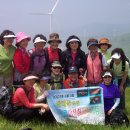 야생화답사 이미지