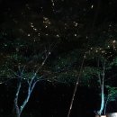 일루미네어 이미지