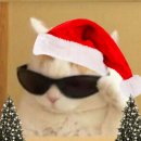 거기 🎄✨멋진여성분✨🎄 크리스마스 분위기 뿜뿜한 노래를 찾고 있나요? 이미지