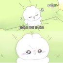 포니케이크