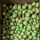 춘천세종호텔 이미지