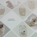 오가닉맘마