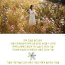 또요