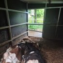 혜선목장 이미지