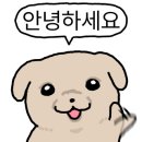 보구밍샵 이미지