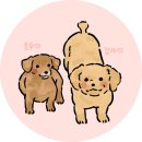 댕쁘앙 | 댕쁘앙에서 설날쿠키 만들었어요~