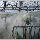 농축산농장 이미지