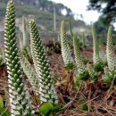 초석농장 이미지