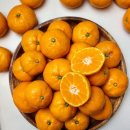 동식농장 이미지