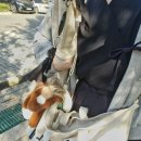 대진세탁소 | 검도이야기 쓸거 없어서 쓰는 저번달 대회 이야기..과연 김돌구는 대회장 변기를 막아버렸나