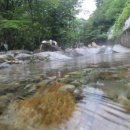 지장산 입구 화장실 이미지