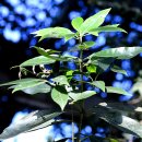 스테이오 이미지