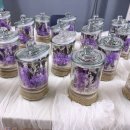 연수종합사회복지관 | 인천연수종합사회복지관 향기가득 테라리움 꽃밭 마음원예 정서지원 원예치료수업