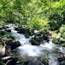 태백농원 이미지