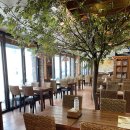 돈까스클럽 거제점 이미지