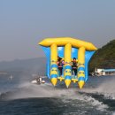 랜드피시 이미지