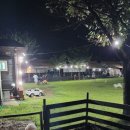 동물치과병원메이 이미지