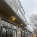 포항철길숲 | 포항 분위기 좋은 와인바 철길숲 양식 맛집 순결포도 후기