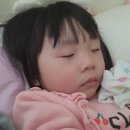 메콩타이산본점 이미지