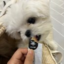 백퍼센트마켓