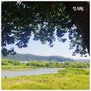 씨유진위산업단지점 | 평택 진위 임장 다룡짬뽕 줄서서 먹은 내돈내산 후기