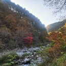 26년7월18일(토)연인산 용추계곡1,2길 트레킹(리딩:원석) 이미지