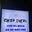 대패1번지 - 김해시 김해대로407번길 26 | 창원 용호동 가로수길 맛집 대패삼겹살 맛집 창원 대패1번지 반려동물 동반식당 창원 용호동 맛집 내돈내산