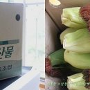 간동농협협동조합 이미지