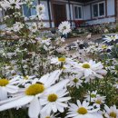 김천한솔펜션 이미지