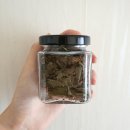 구억말농장 | [2021 EPIS 사회적 농업 인턴십 12일차] 농턴십 후기와 추억 정리