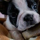 공장장공인중개사사무소 이미지