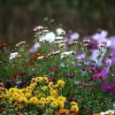 달빛하우스 이미지