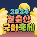 [번개] 월출산 국화축제 구경가욧!!! 이미지