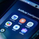 Polygon Re 이미지