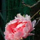 소구월사거리 이미지