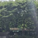 큰고을 | 김해 장유 대청계곡 취사가능 평상대여 김해독채펜션 유창고을펜션 후기