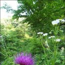 밤산농원 이미지