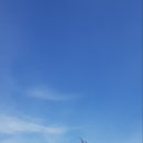 하루멍멍 이미지