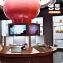 문화체육시설사업소 | 겨울방학 아이와 실내 가볼만한곳 충북 영동 난계국악 박물관