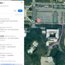 경희대학교 체육대학원 | 겹벚꽃 명소 | 용인 수원 경희대 포토존 주차 정보! 뒤늦은 후기