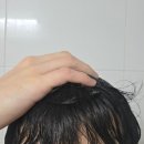 하이케어 | 피디하이 하이옴 올커버 스칼프케어 두피샴푸 후기