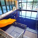 아일랜드 365 이미지