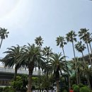 제주도 택시투어 가격과 예약 방법, 후기 정리