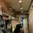 이카 타코야끼 이미지