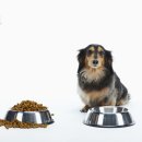 압구정화이트약국 이미지