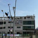 씨스페이스부천오정점 | [부천] 브런치 맛집 스페이스작 후기 (봄동무침·파스타·셀프김밥, 메뉴 다양)