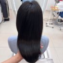 소나무파인트리(PINE TREE) | 서대문역미용실 파인트리 헤어살롱 AVEDA 아베다 머리염색 추천