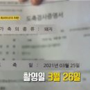 무한대장군 이미지