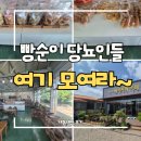 웰빙베이커리 - 제주시 | 포항 빵집｜당뇨환자도 안심하는 10년 단골 예고 코스, 윤재호 베이커리 단팥빵 솔직후기